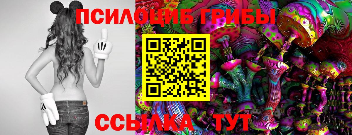 Вязьма  Псилоцибиновые грибы GOLDEN TEACHER  Вход с VPN 