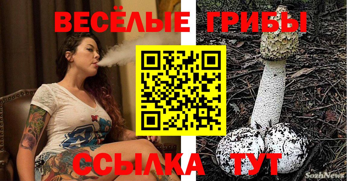Псилоцибиновые грибы Magic Shrooms Вязьма